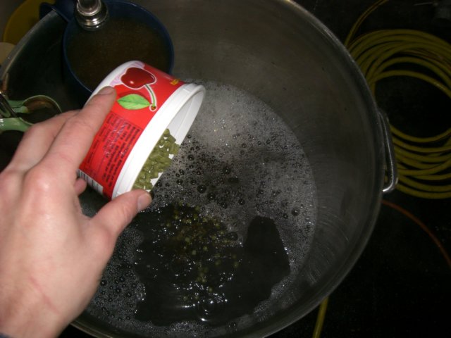 photo43.jpg