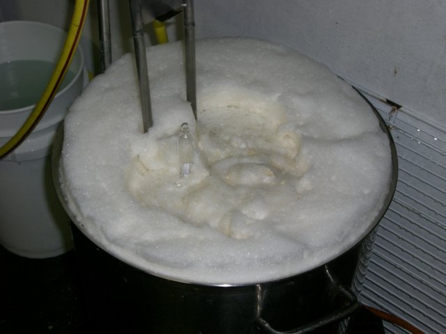 photo58.jpg
