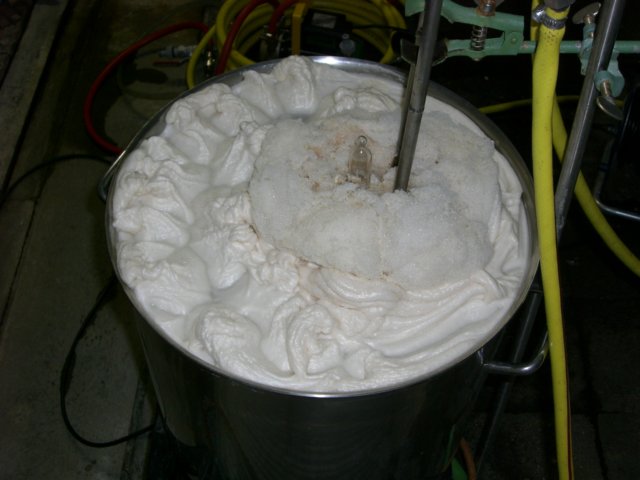 photo59.jpg
