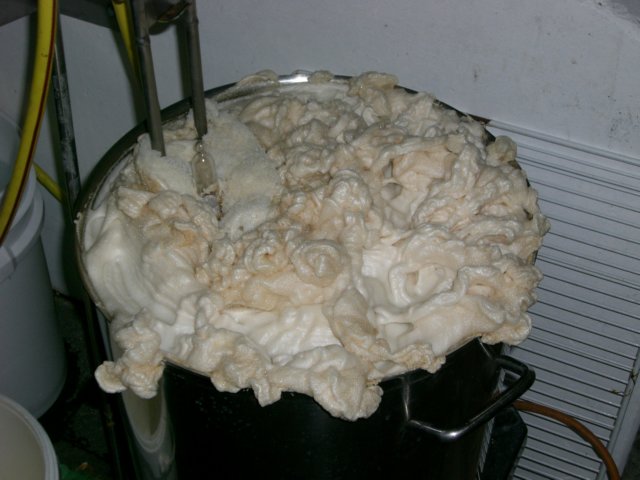 photo62.jpg