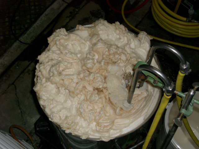 photo63.jpg