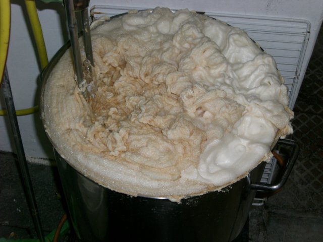 photo67.jpg
