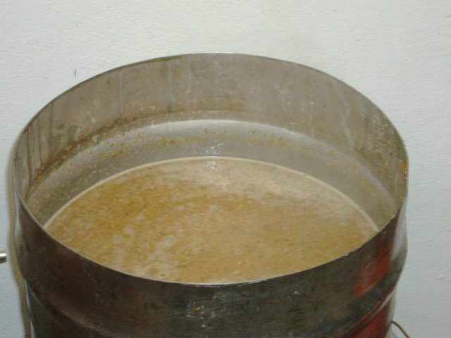 photo27.jpg
