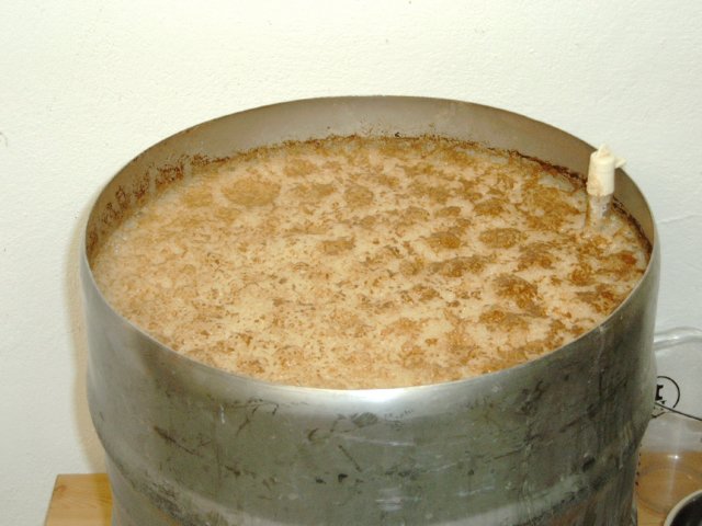 photo95.jpg